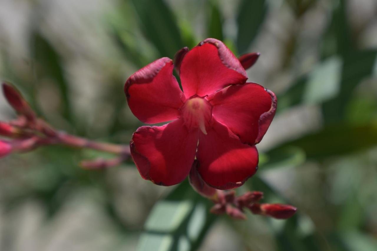 Palmengarten Finning Εξωτερικό φωτογραφία